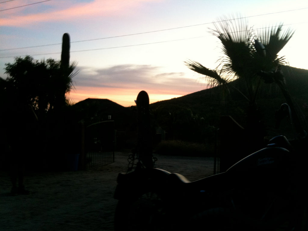 Random Photos from Today