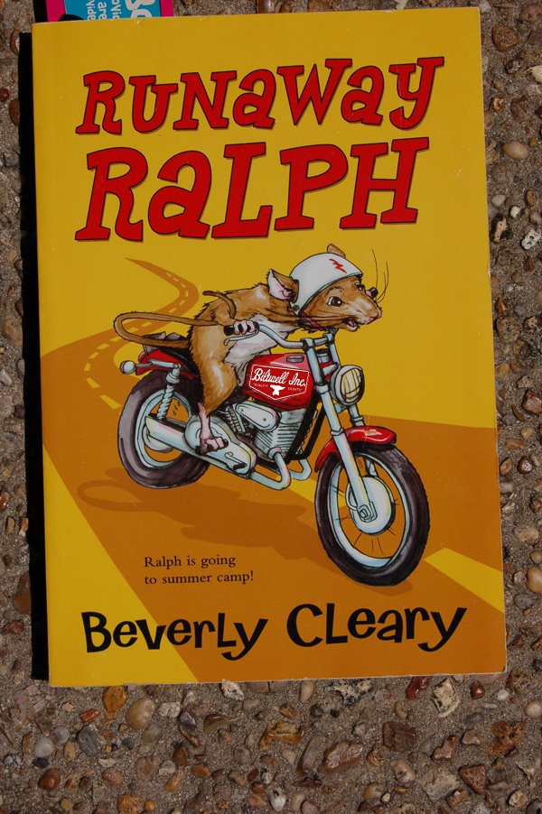 Rat bikes are SO hot right now...