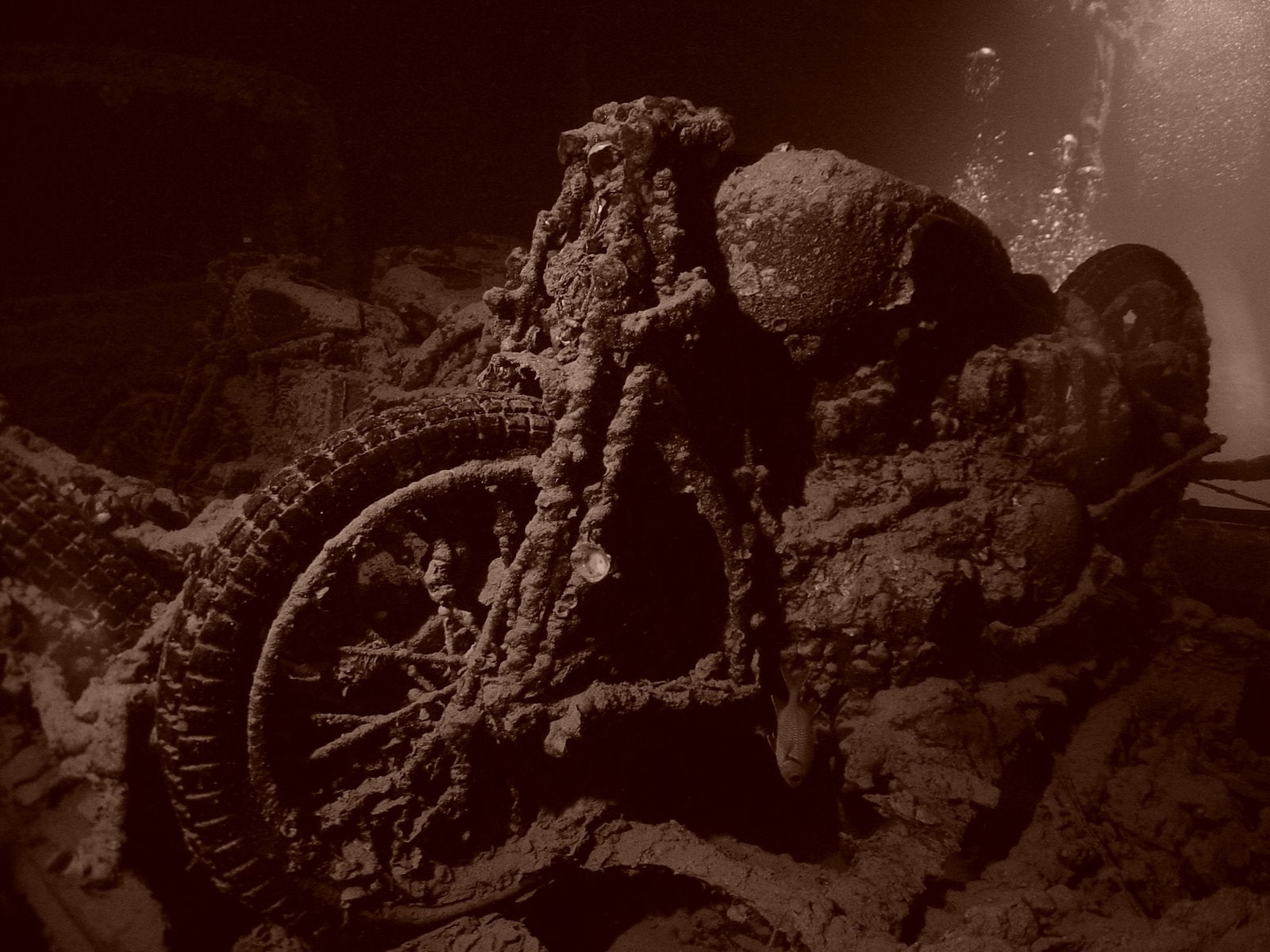 Davey Jones Called...