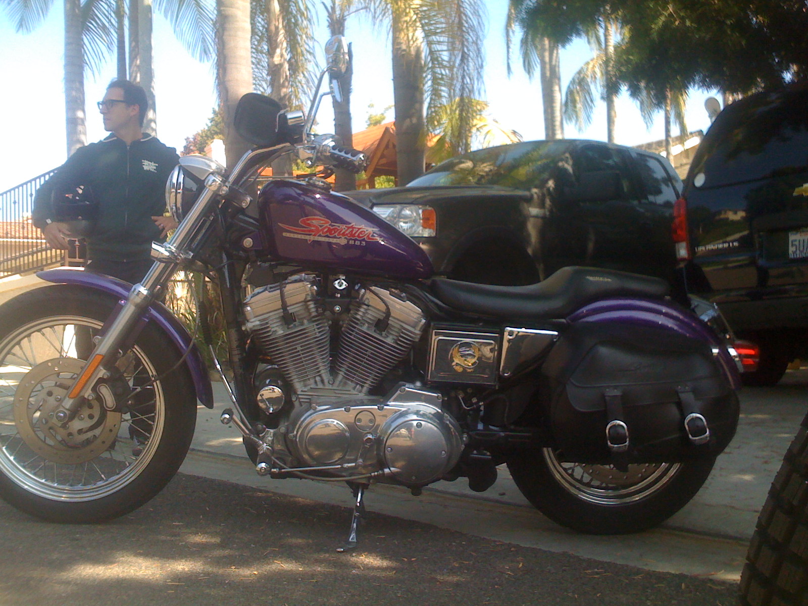 Matt's Sportster