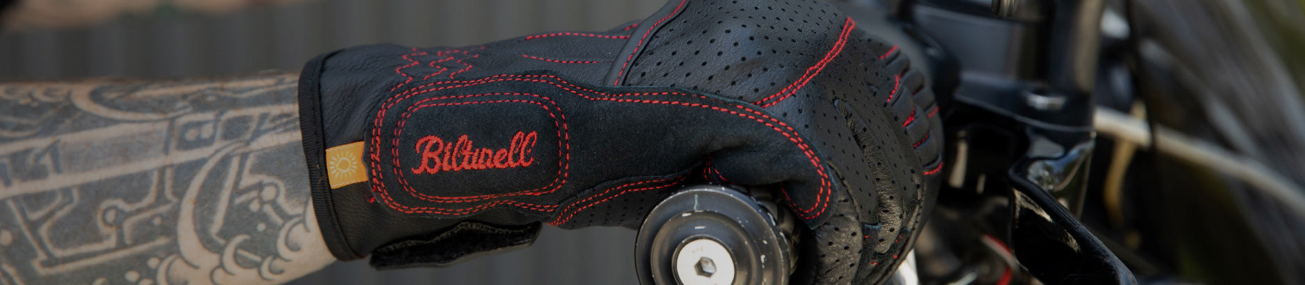 Borrego Gloves