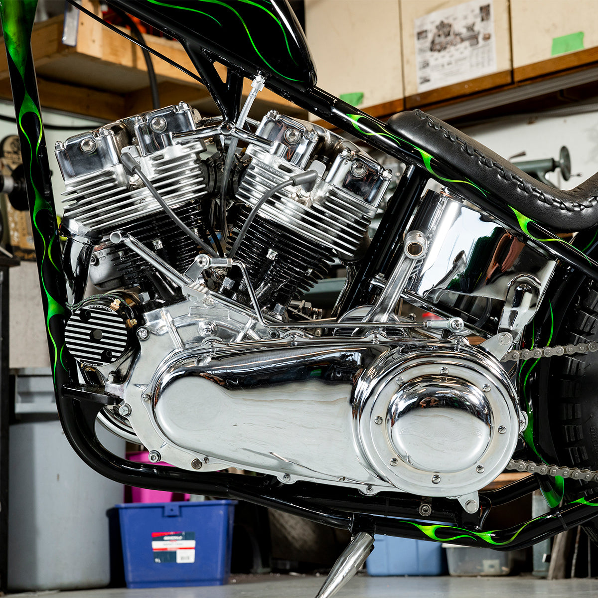 2025 People's Champ Contestant - Max Bayko