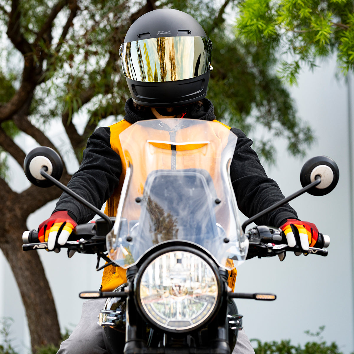 Gringo S / SV Shield - Gold Mirror