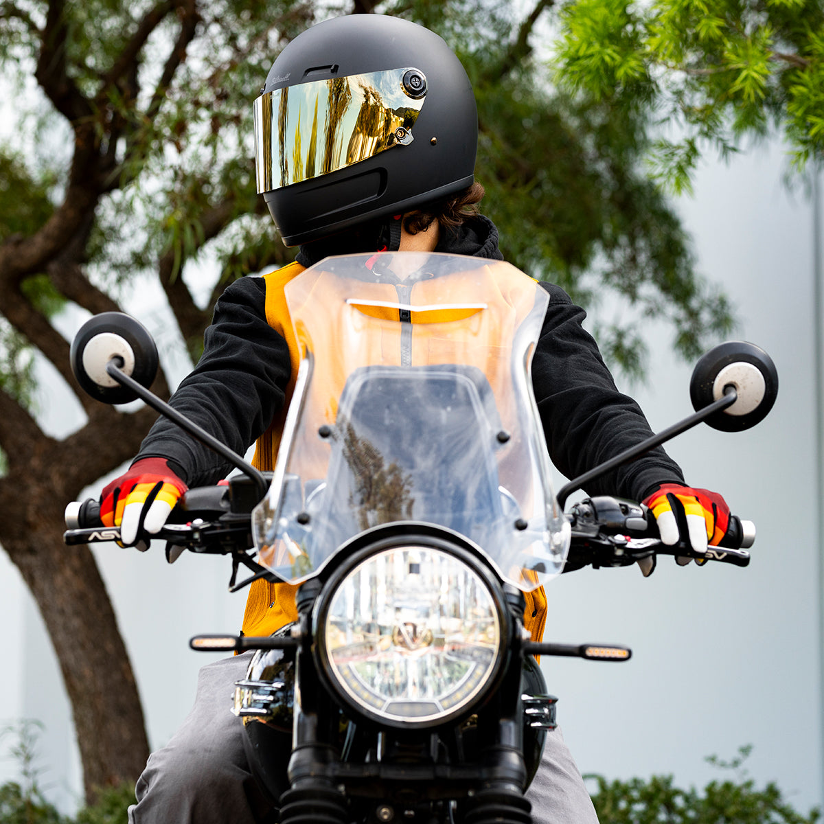 Gringo S / SV Shield - Gold Mirror