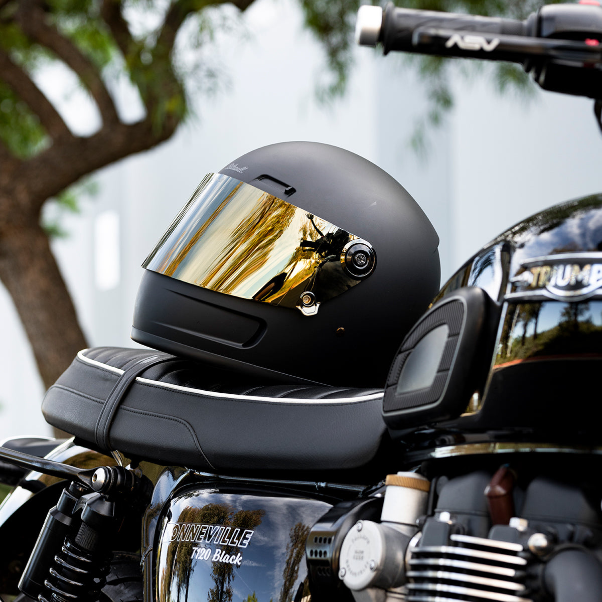 Gringo S / SV Shield - Gold Mirror