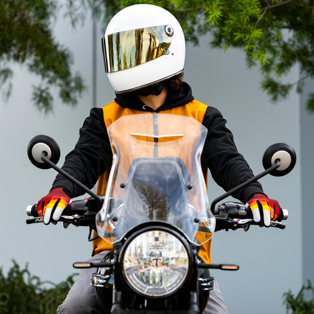 Gringo S / SV Shield - Gold Mirror