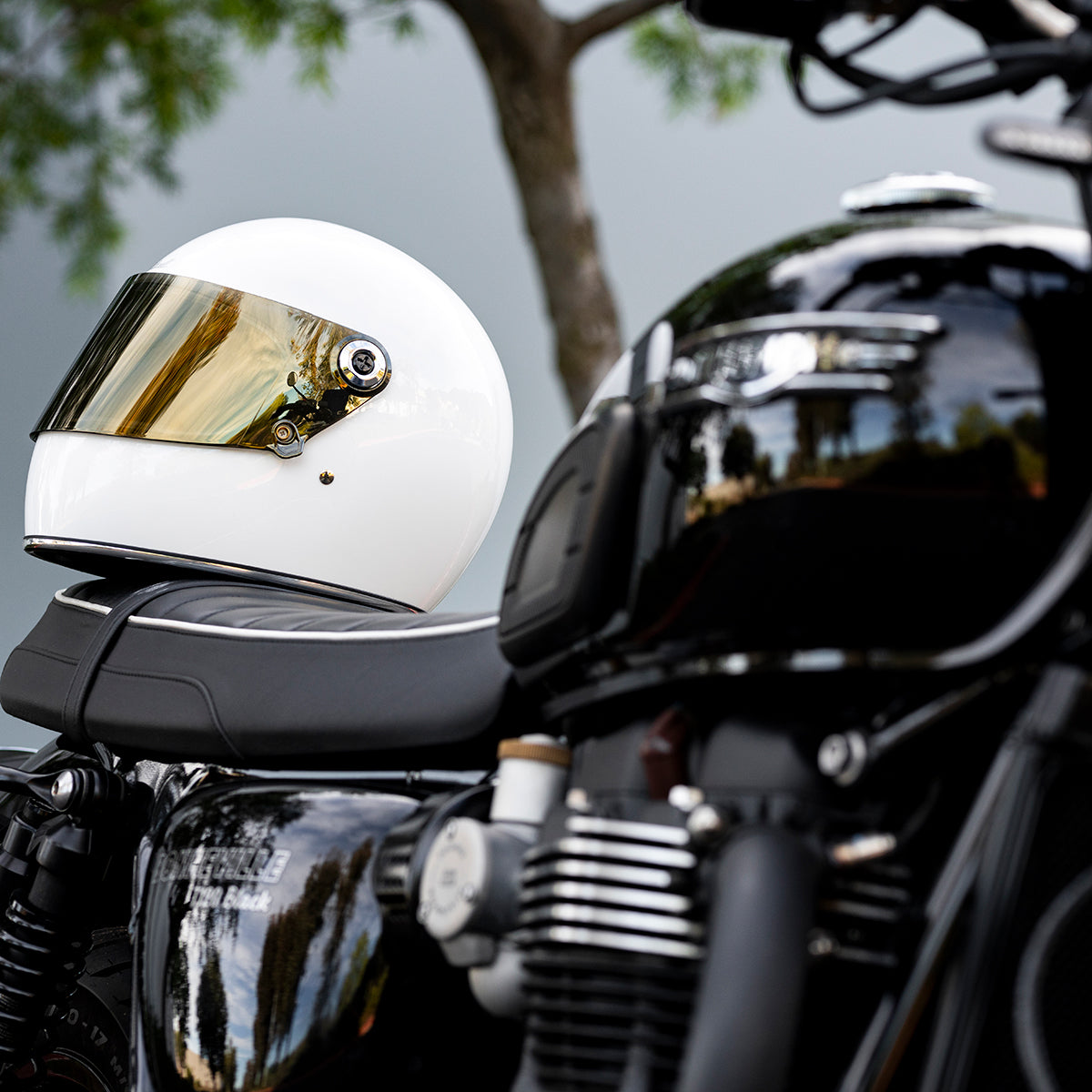 Gringo S / SV Shield - Gold Mirror