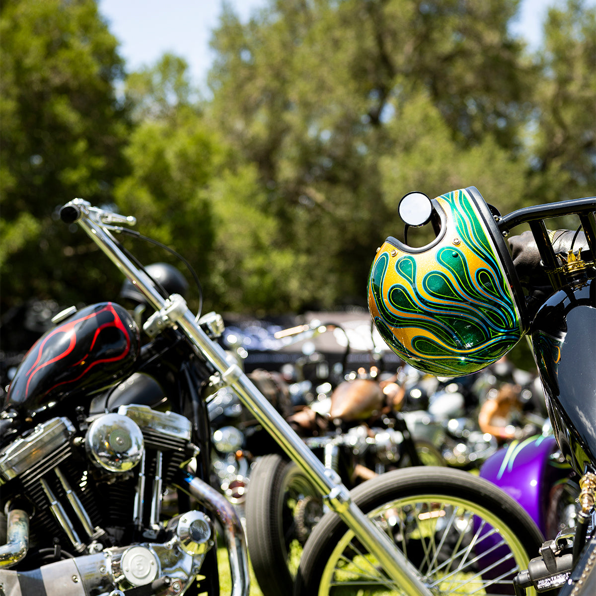 Born-Free 17 Grass Pass Admission