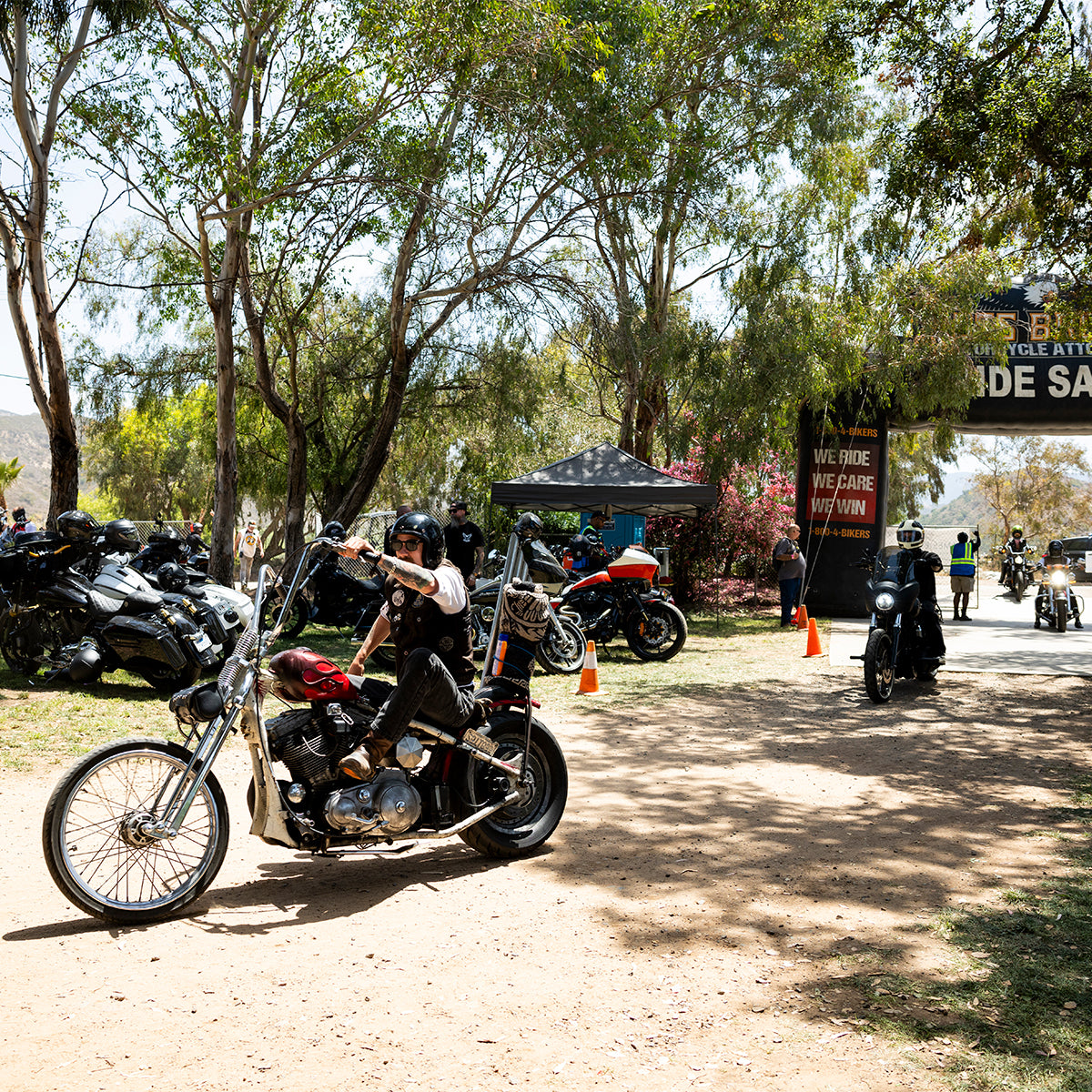 Born-Free 17 Grass Pass Admission