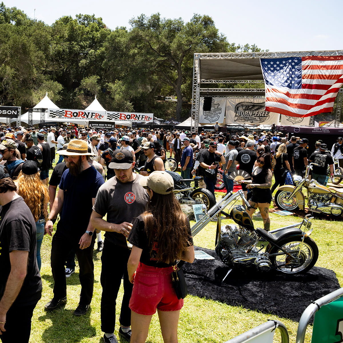 Born-Free 17 Grass Pass Admission