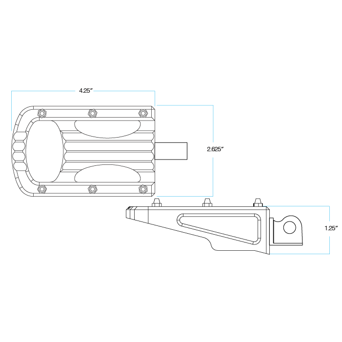 Punisher XL Foot Pegs HD Classic - Polished