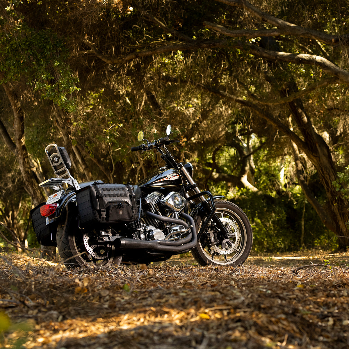 EXFIL-36 Saddlebags Black