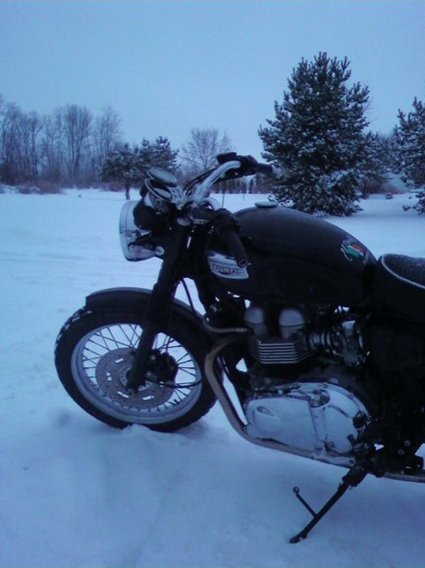 Lowbrow T100