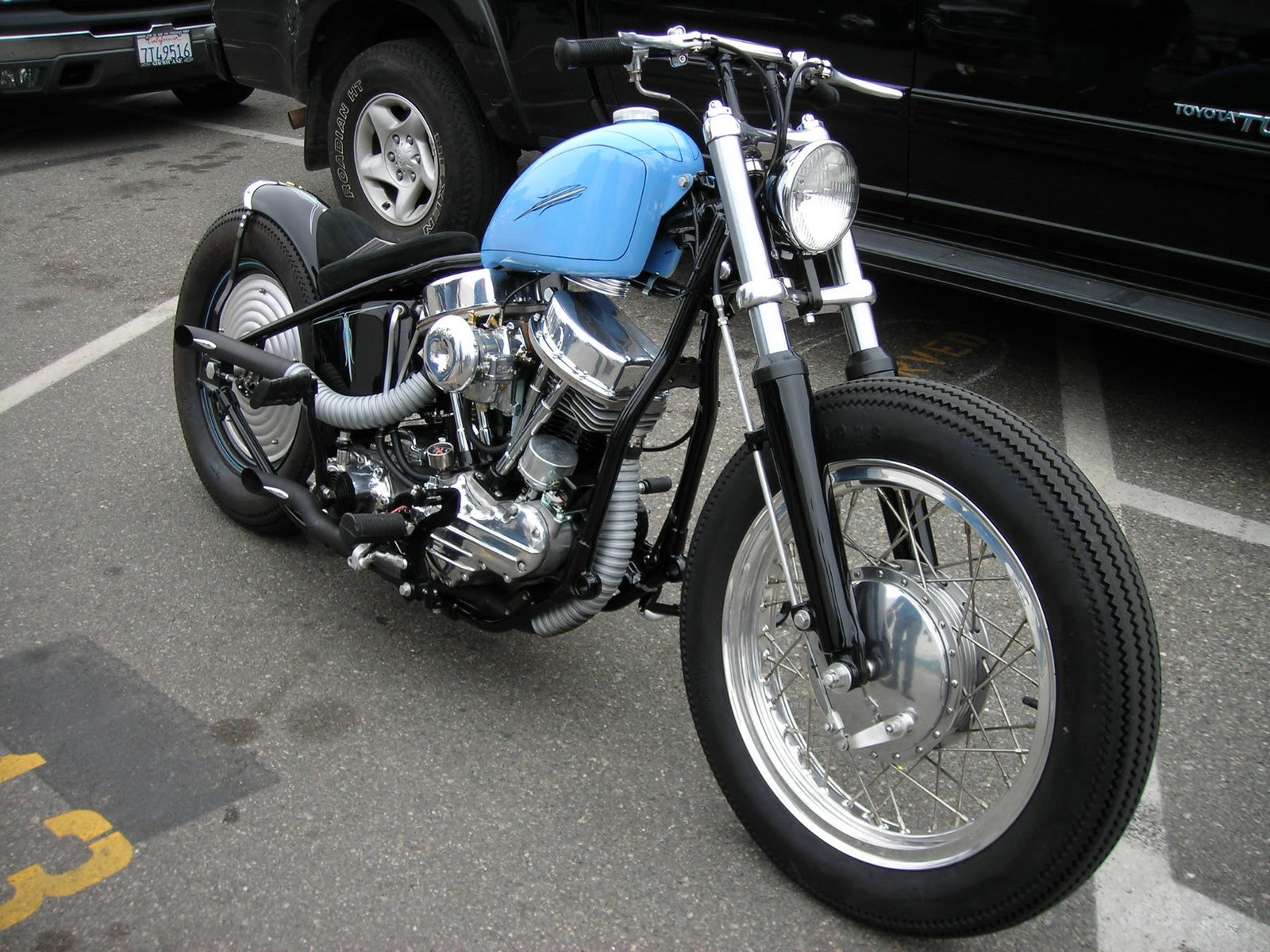 Picture Perfect Panhead