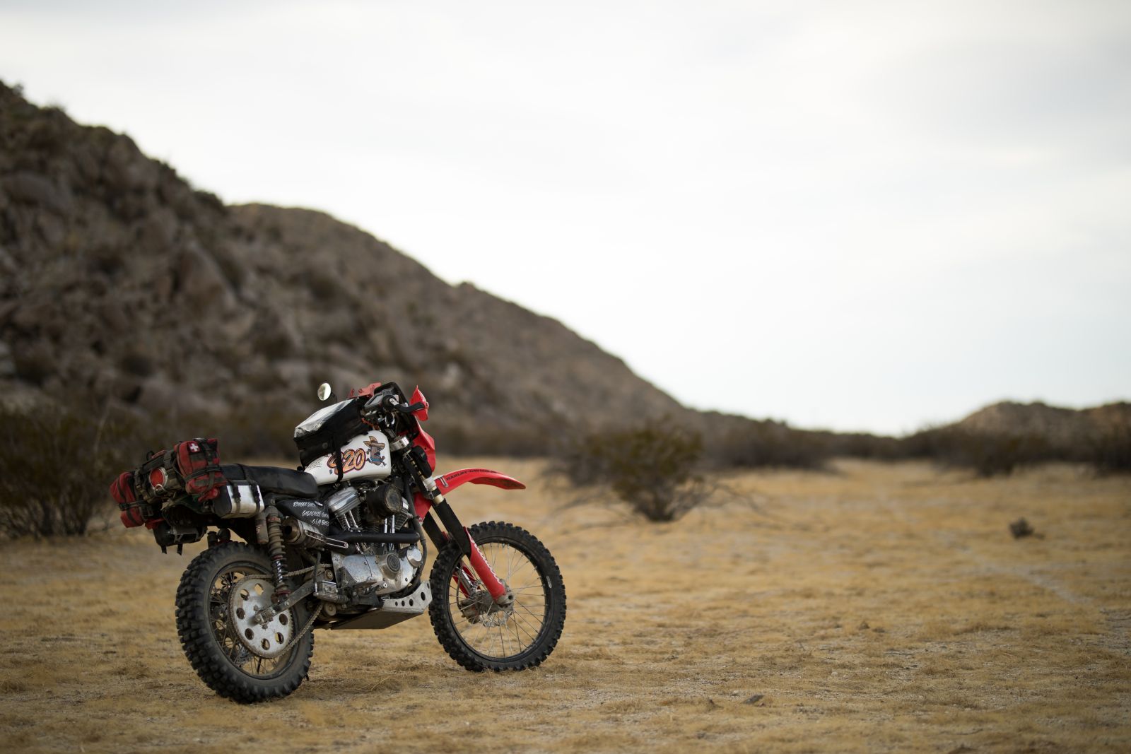 Tacos & Dirt