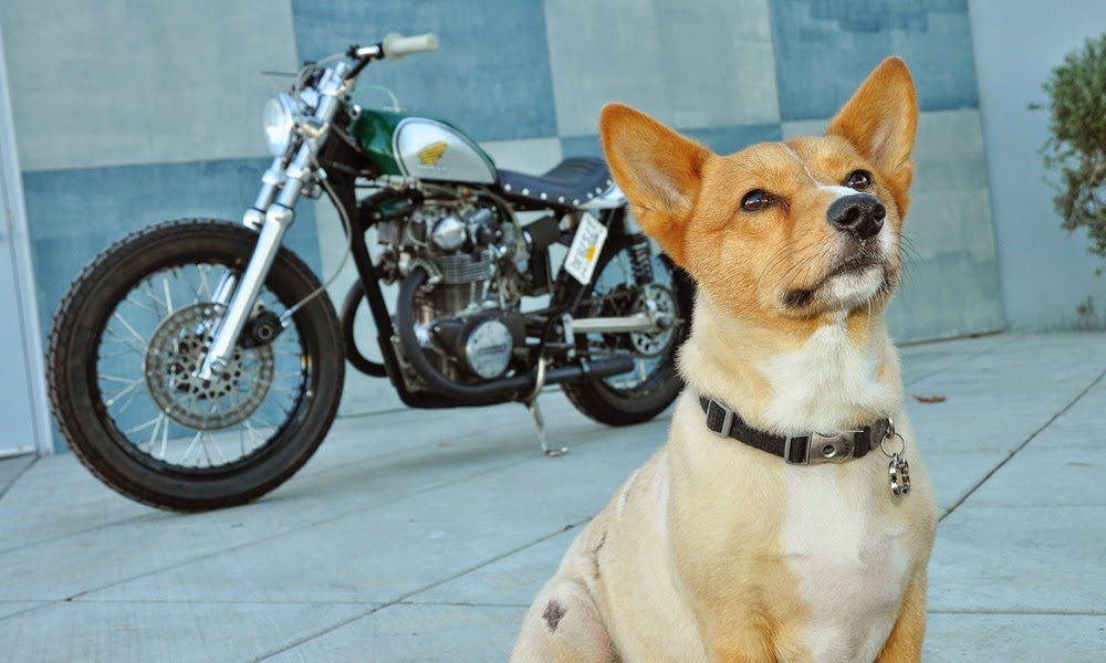 McGoo's CB450 Street Tracker