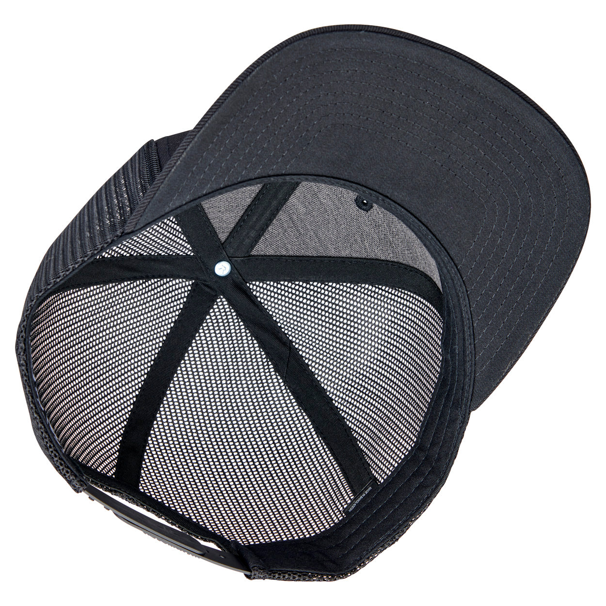 Elsinore 2.0 Snap Back