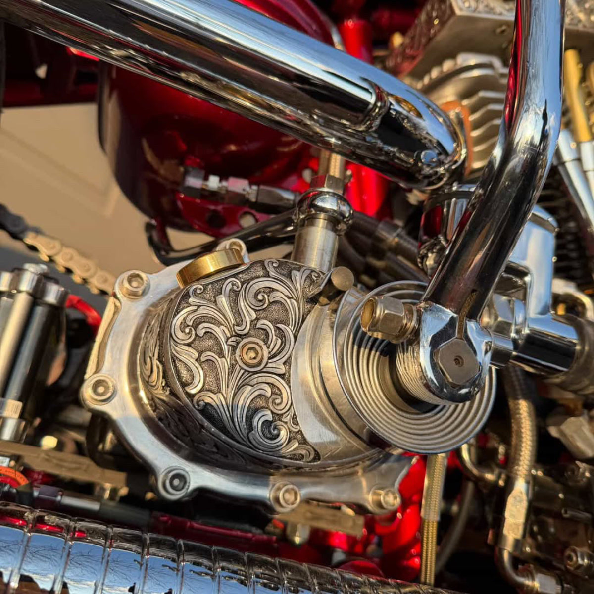 People's Champ Contestant - Tim Sneed