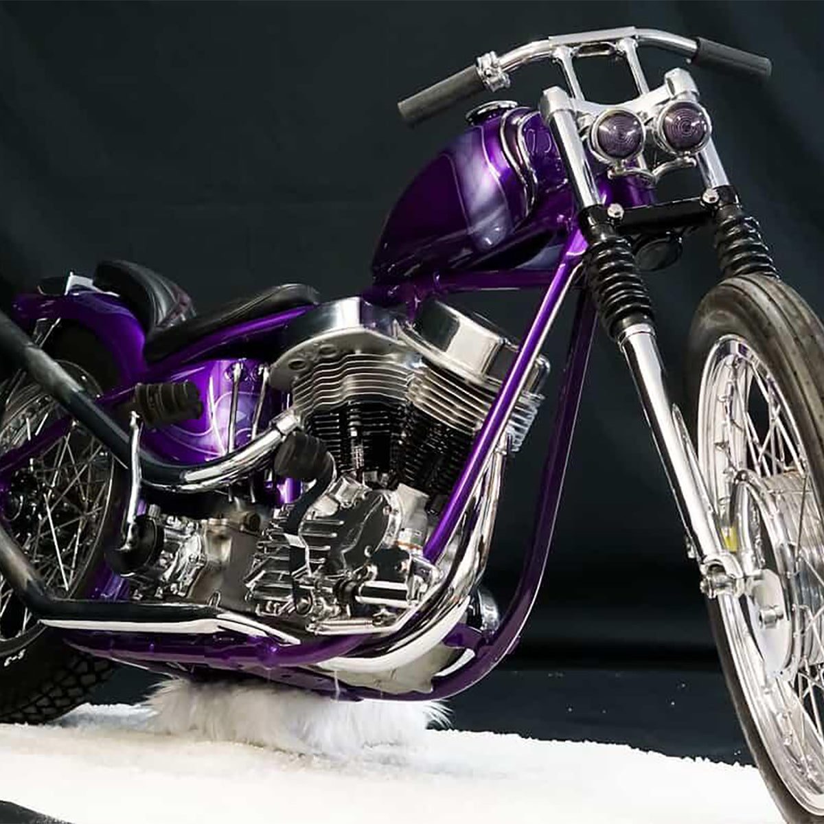 People's Champ Contestant - Duke Markowski