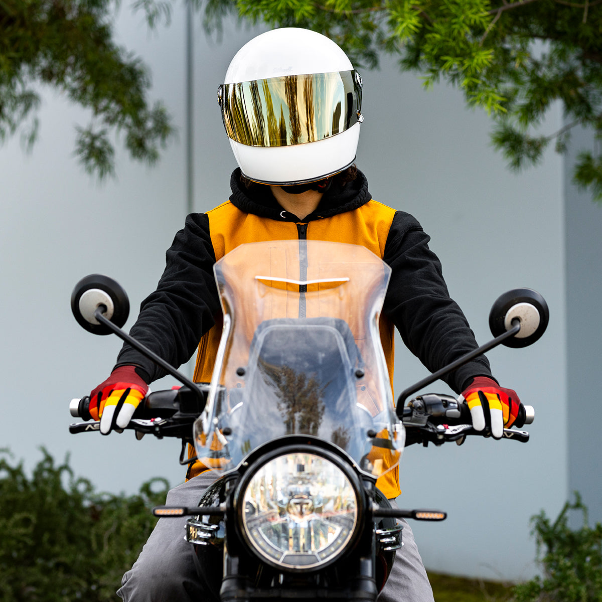 Gringo S / SV Shield - Gold Mirror