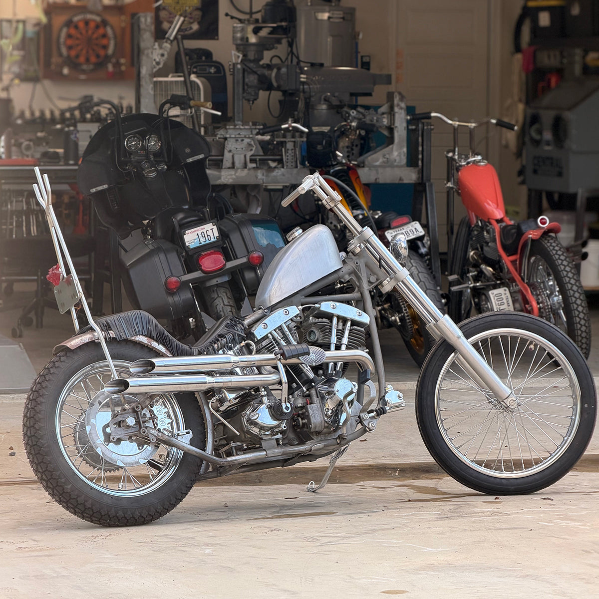 People's Champ Contestant - Brittany Conard