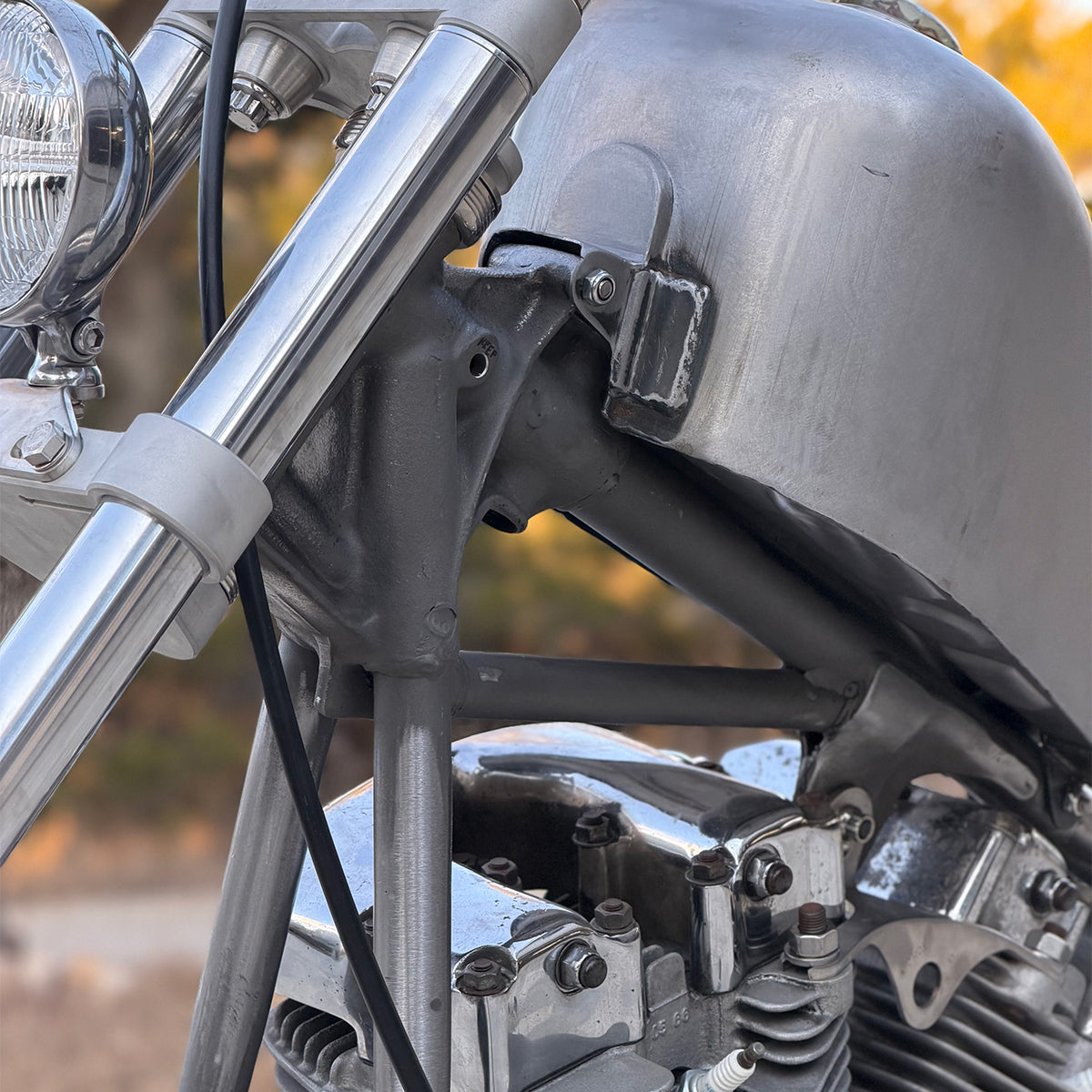 People's Champ Contestant - Brittany Conard