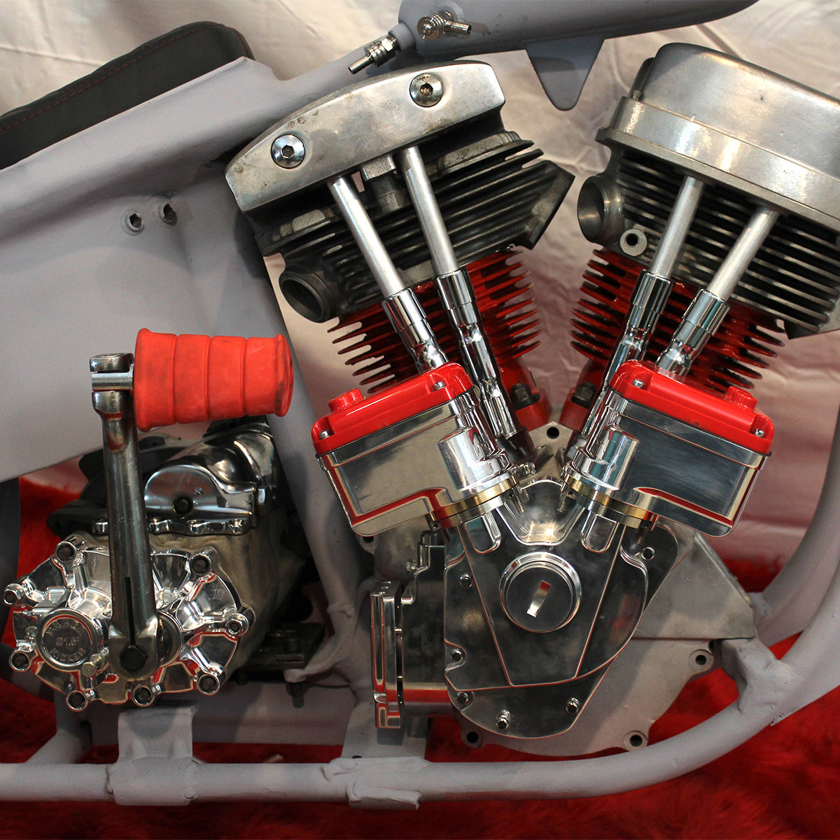 People's Champ Contestant - Neil Norgren