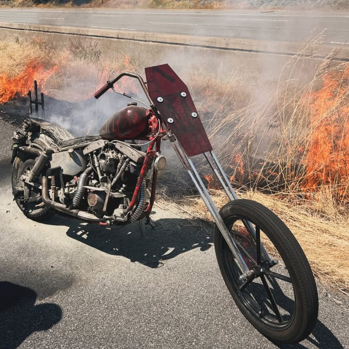 People's Champ Contestant - Neil Norgren