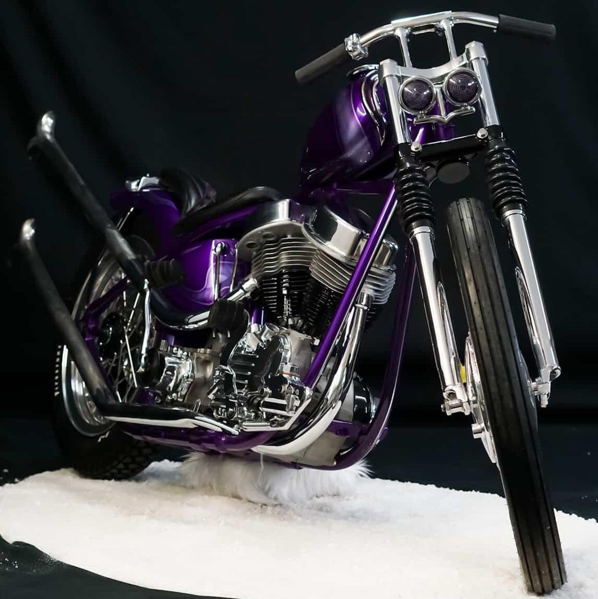 People's Champ Contestant - Duke Markowski