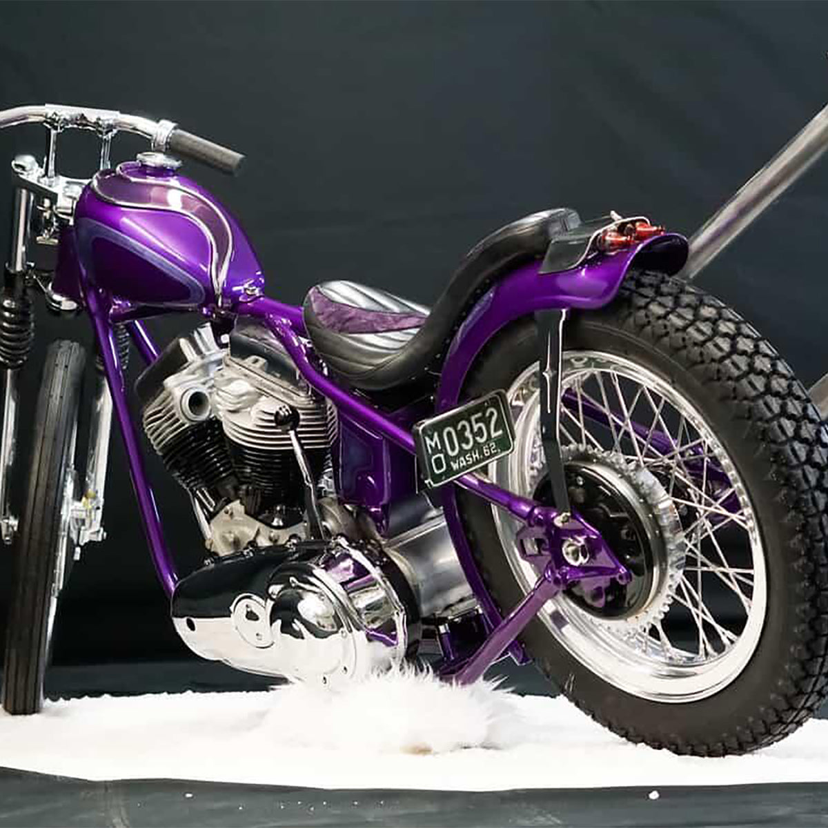 People's Champ Contestant - Duke Markowski