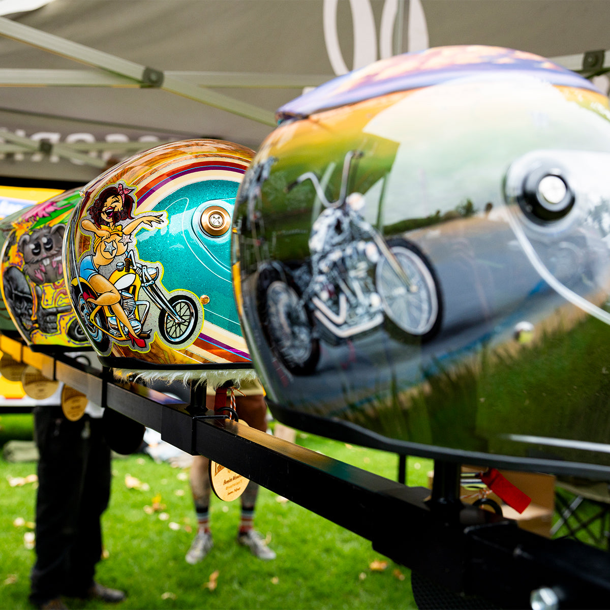 Born-Free 17 Grass Pass Admission