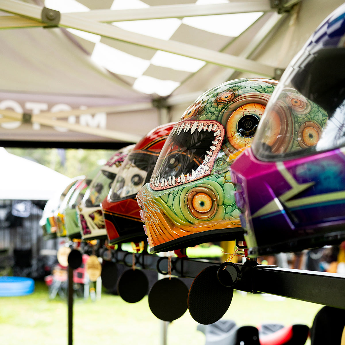 Born-Free 17 Grass Pass Admission