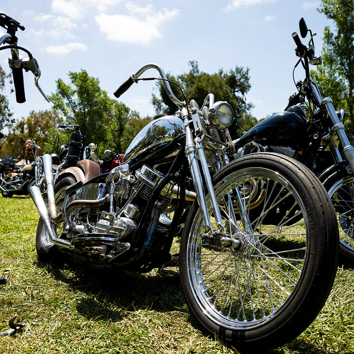 Born-Free 17 Grass Pass Admission