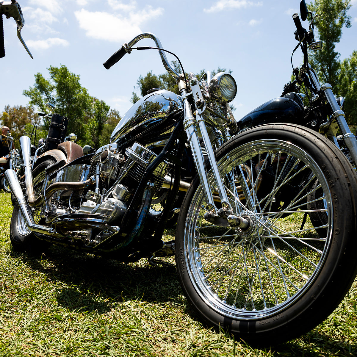 Born-Free 17 Grass Pass Admission