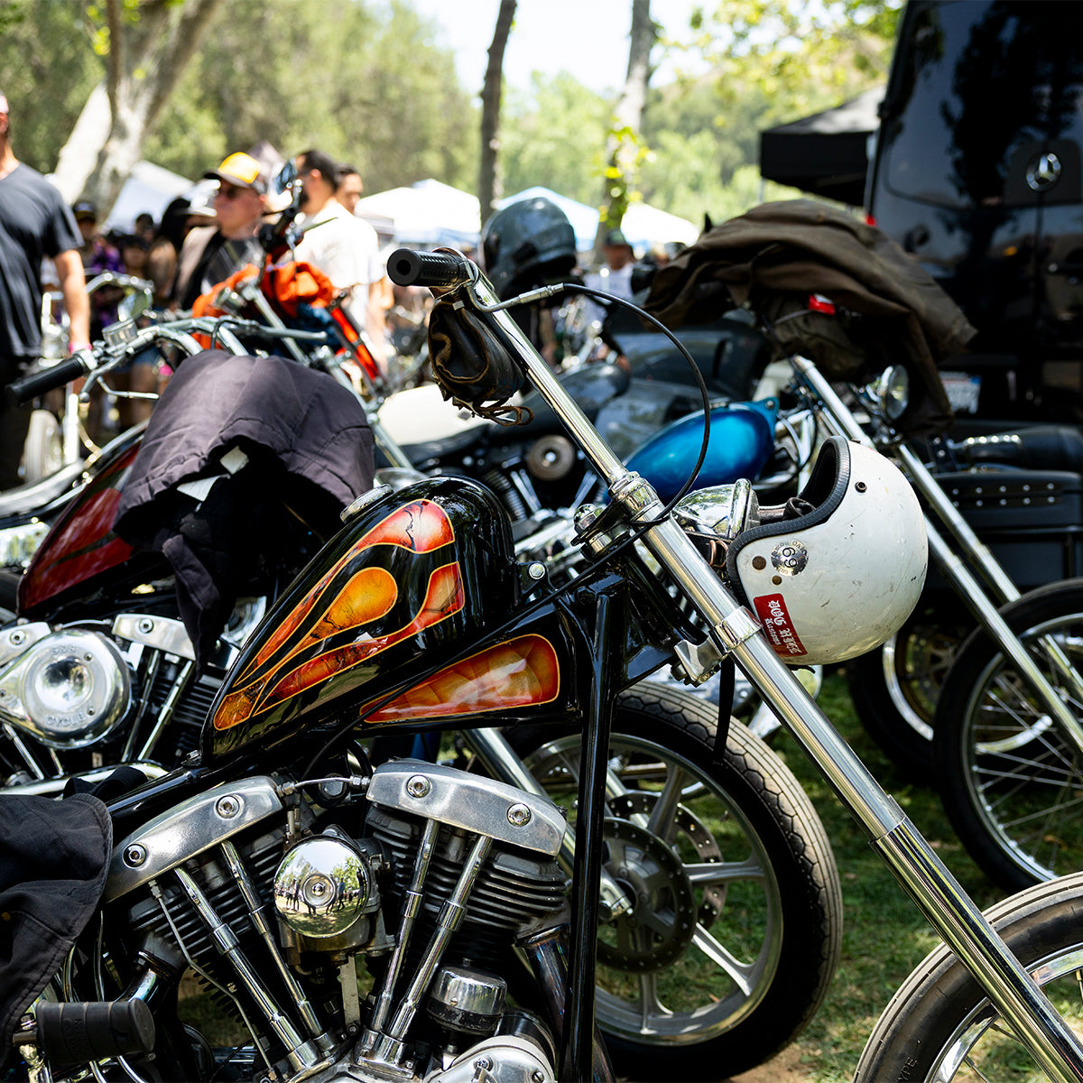 Born-Free 17 Grass Pass Admission