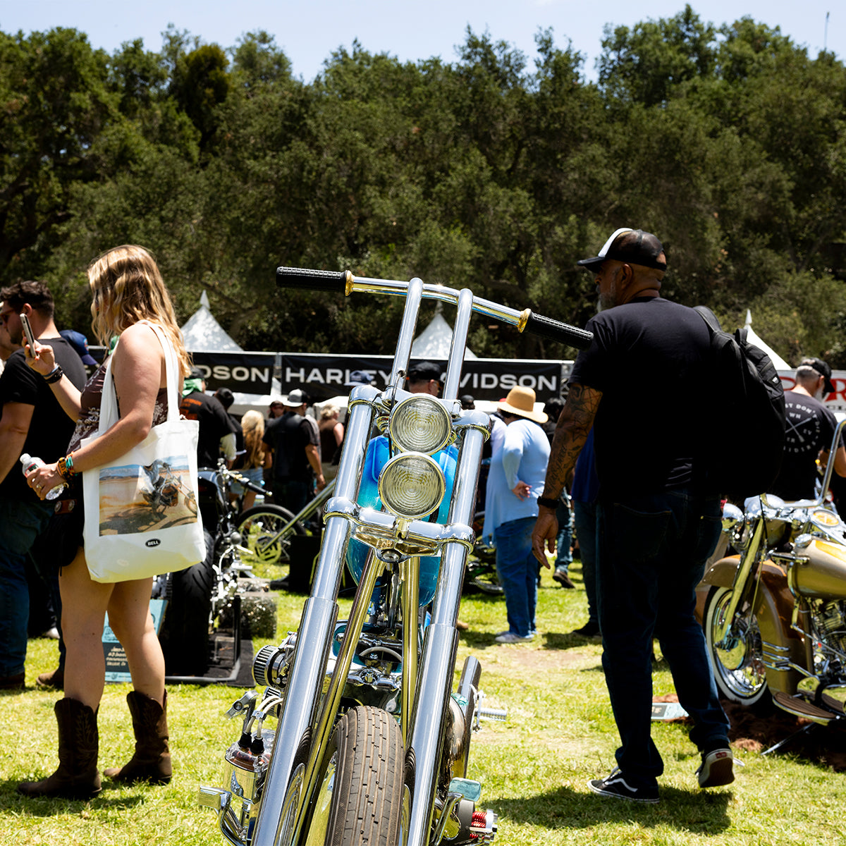 Born-Free 17 Grass Pass Admission