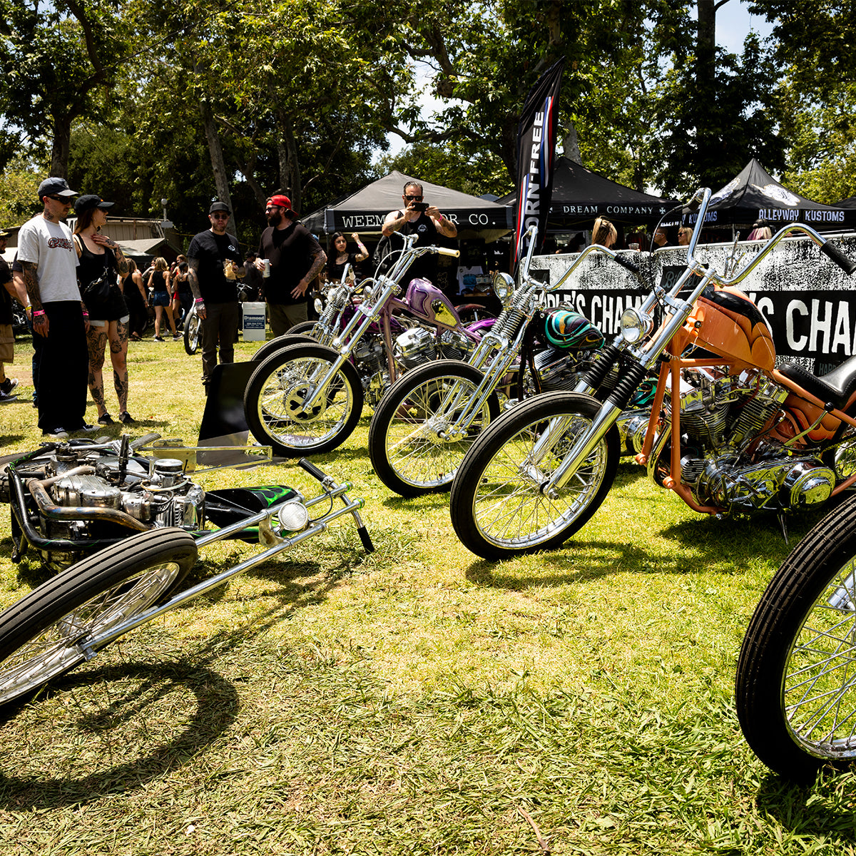 Born-Free 17 Grass Pass Admission