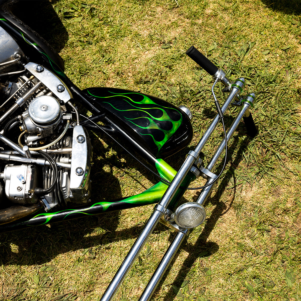 Born-Free 17 Grass Pass Admission