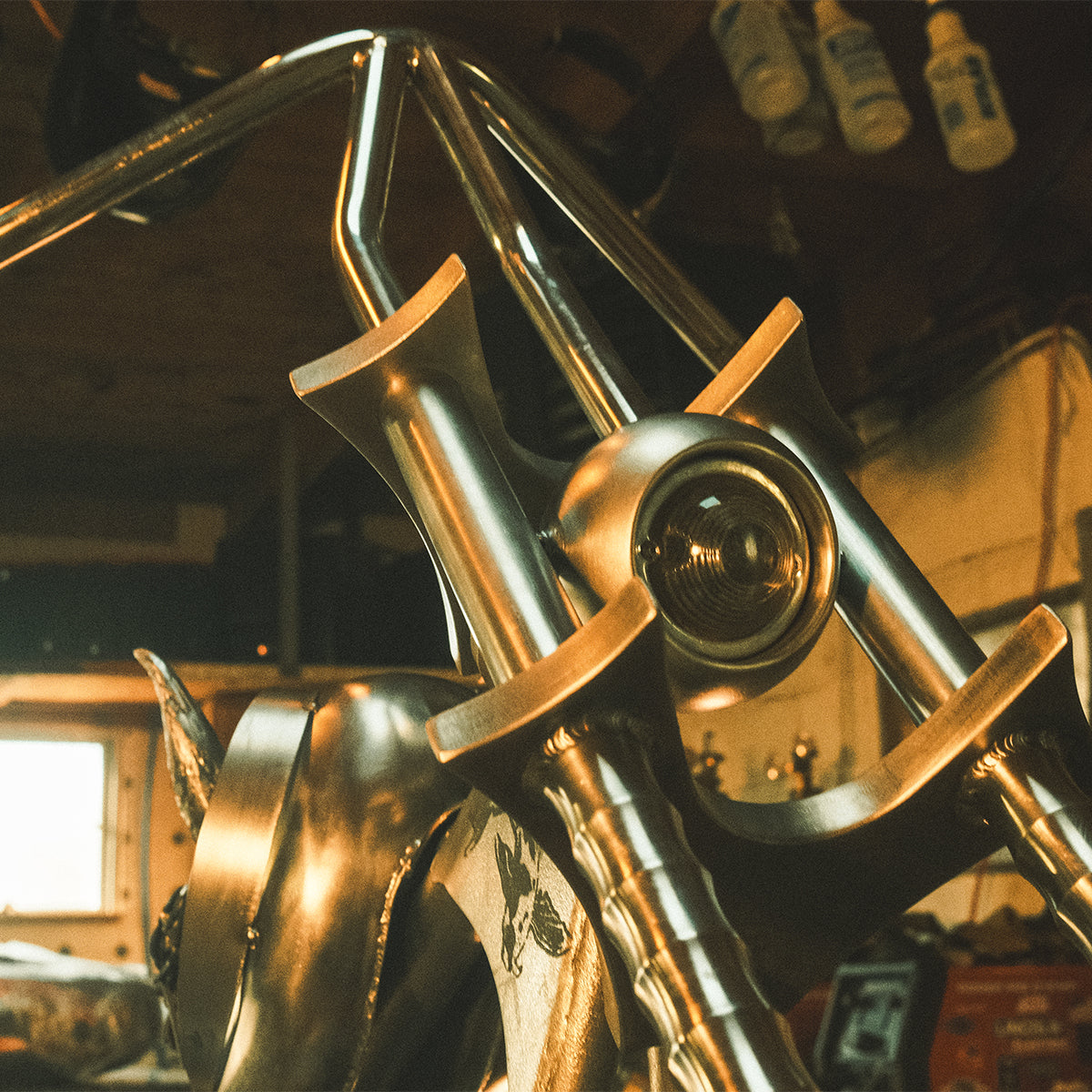 People's Champ Contestant - Matt Connor