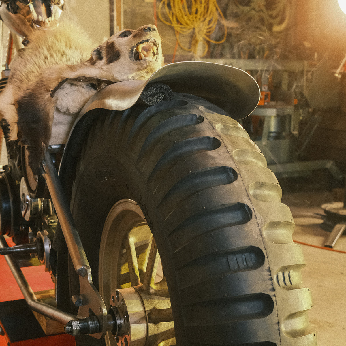 People's Champ Contestant - Matt Connor