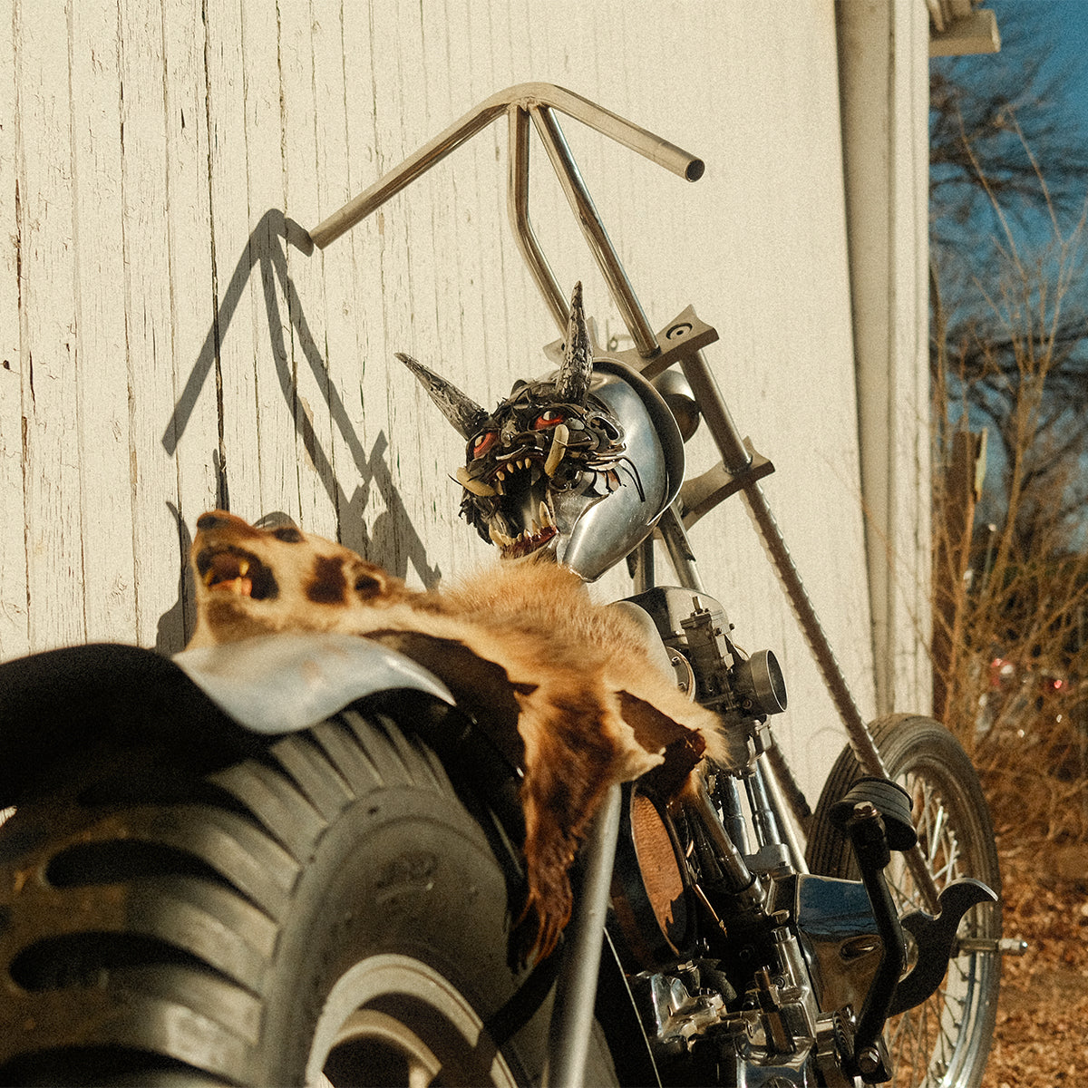 People's Champ Contestant - Matt Connor