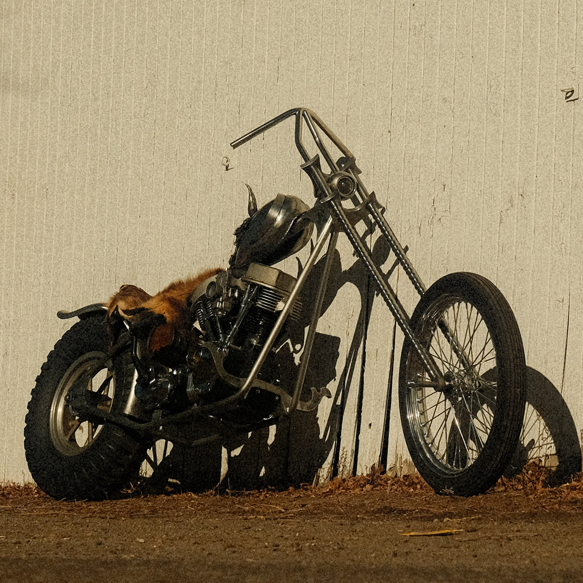 People's Champ Contestant - Matt Connor