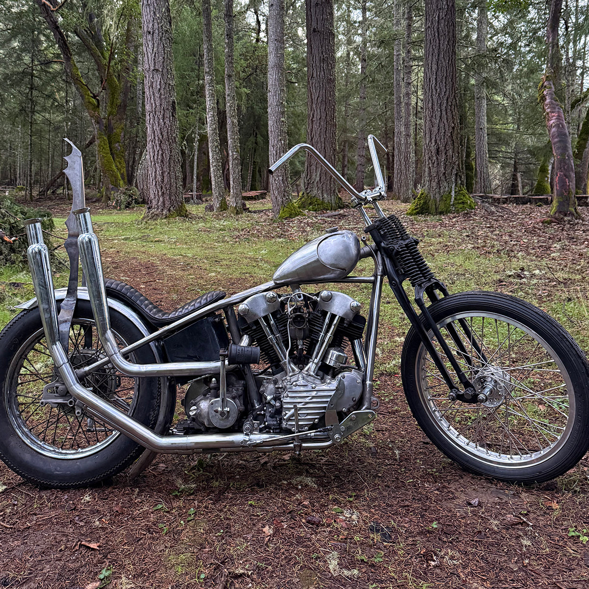 People's Champ Contestant - Weston Baughman