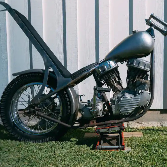 People's Champ Contestant - John Salzetti