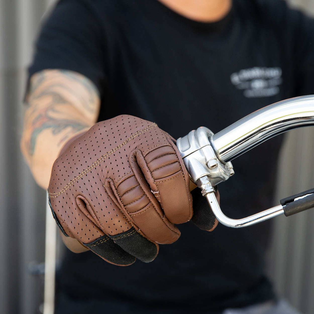 Borrego Gloves - Chocolate/Black