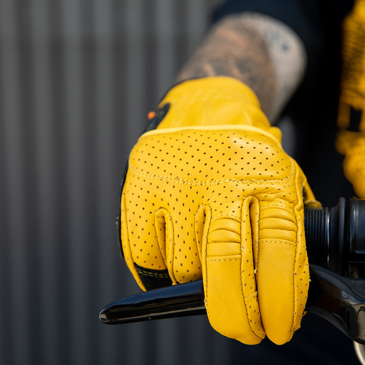 Borrego Gloves - Gold/Black