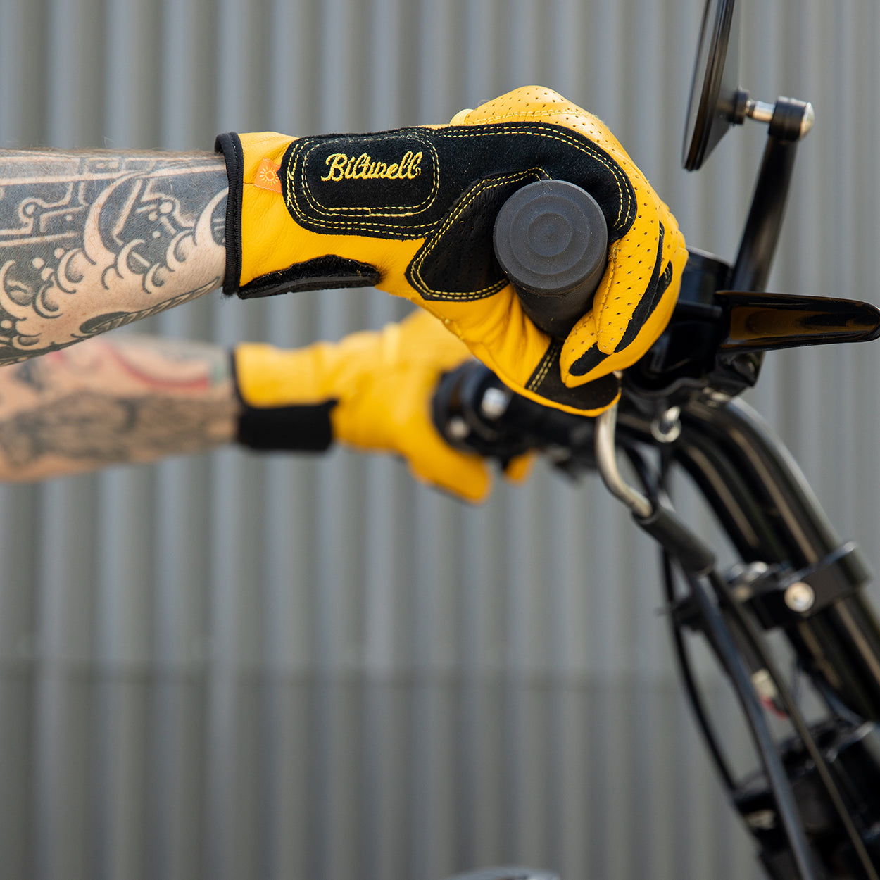 Borrego Gloves - Gold/Black
