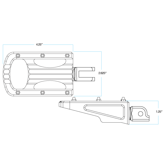 Punisher XL Foot Pegs HD Rider - Polished