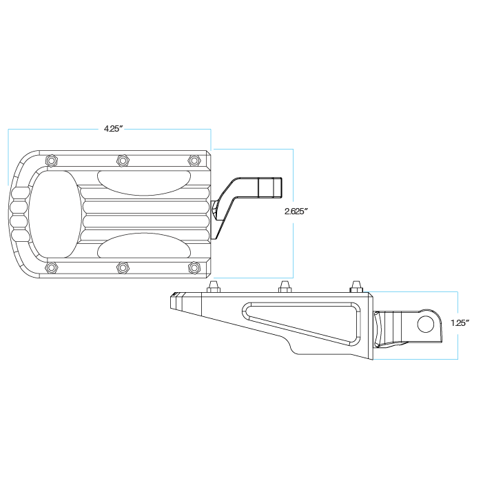 Punisher XL Foot Pegs HD Step - Polished